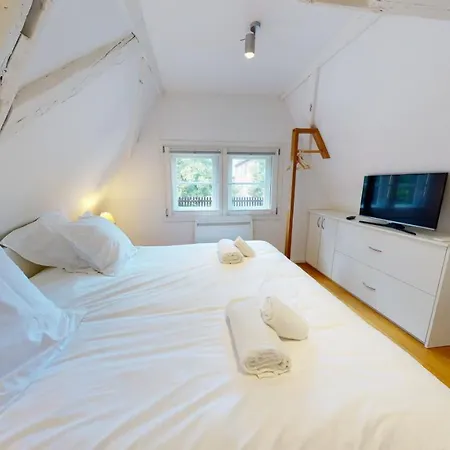 Le Lohkaes - Loft Triplex Ultra Design Petite France