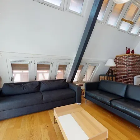 Le Lohkaes - Loft Triplex Ultra Design Petite France * Strasburg