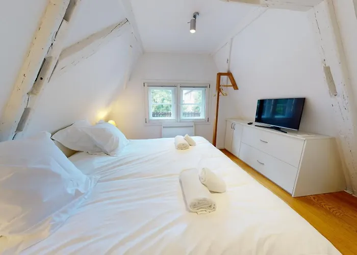 Le Lohkaes - Loft Triplex Ultra Design Petite France